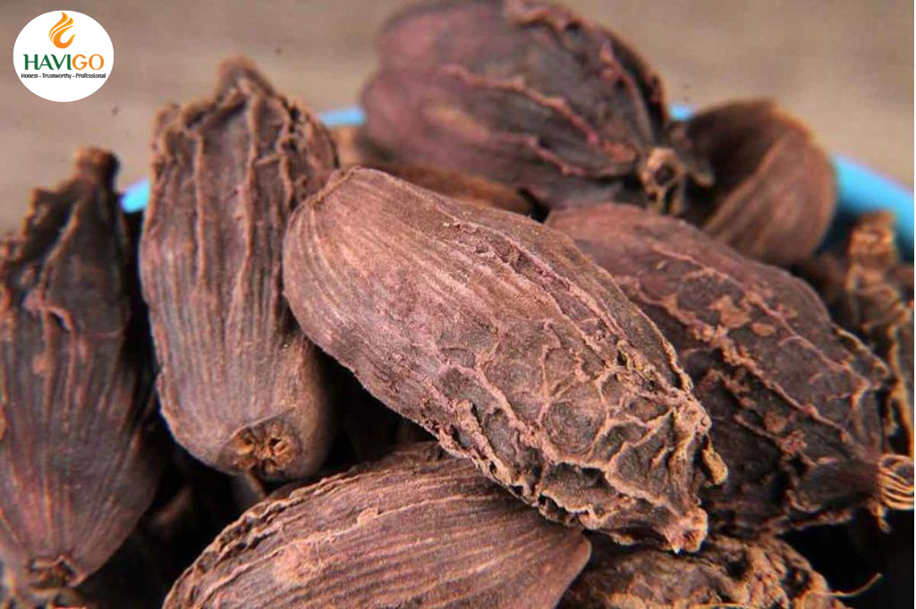 Origin of Vietnam Black Cardamom