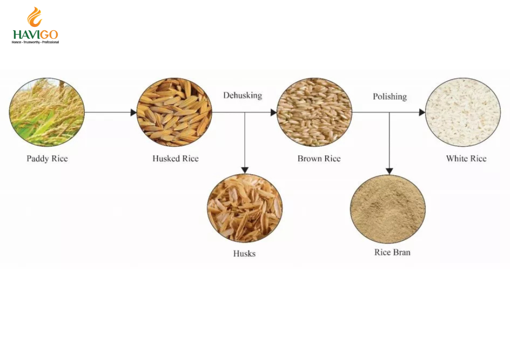 Processing of White Rice