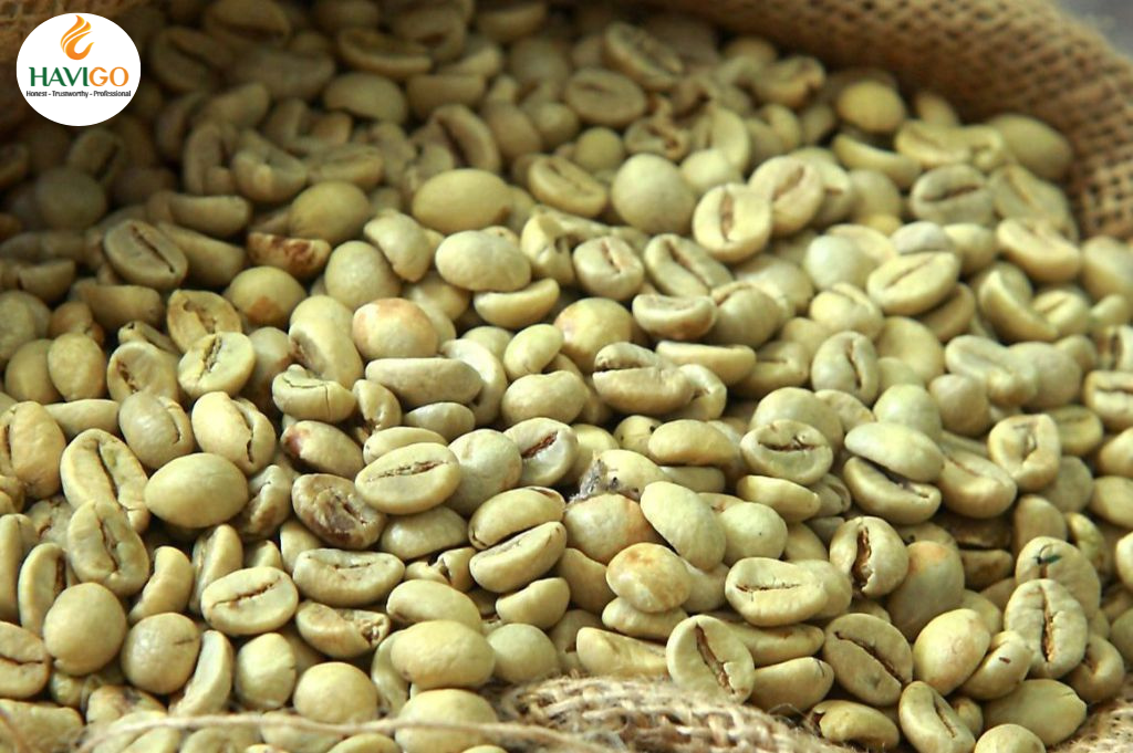 Ripeness of Coffee Beans