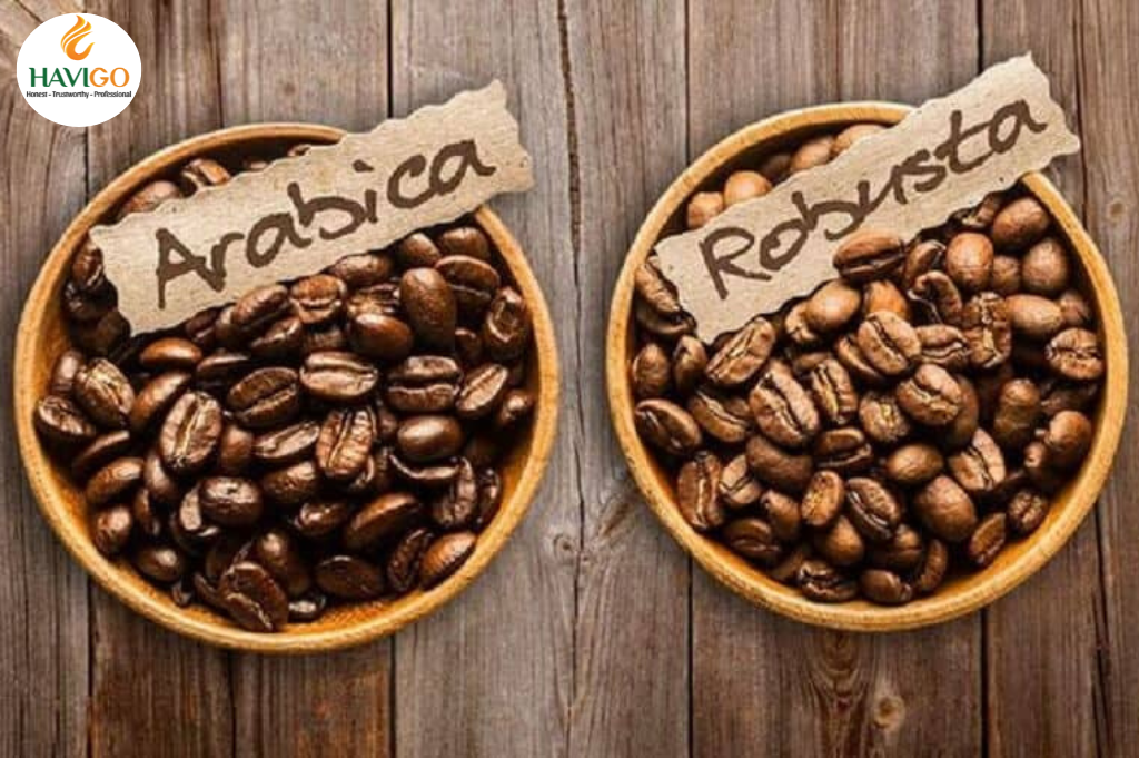 Robusta and Arabica Coffee