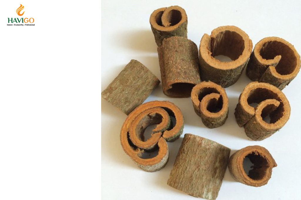 Round Cut Cassia Cinnamon