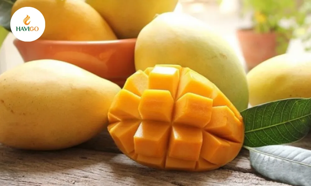 hoa-loc-mango