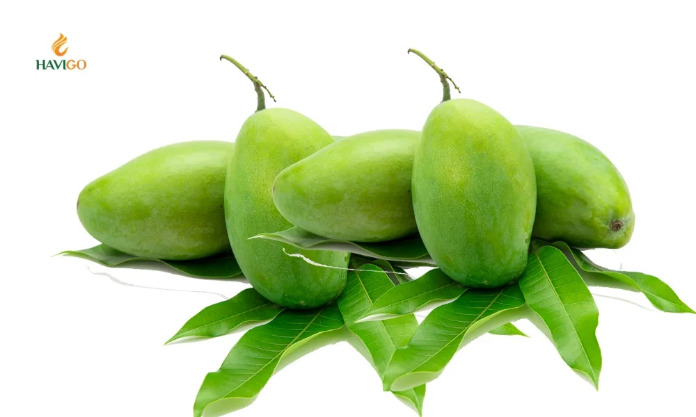 keo-mango–long-shelf-life-vietnamese-mango-variety