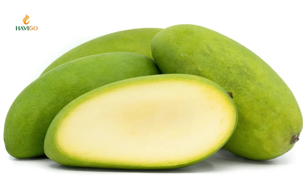 elephant-mango–large-size-vietnamese-mango-for-bulk-buyers