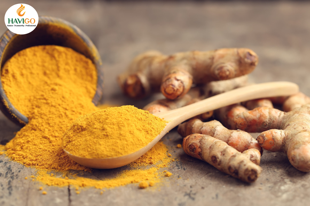 Harvesting the golden Turmeric