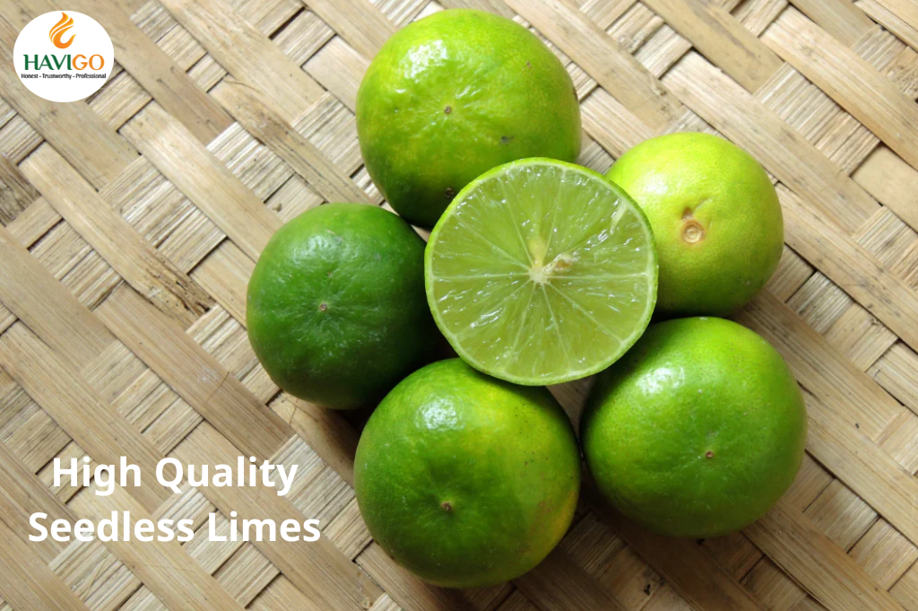 High Quality Seedless Limes