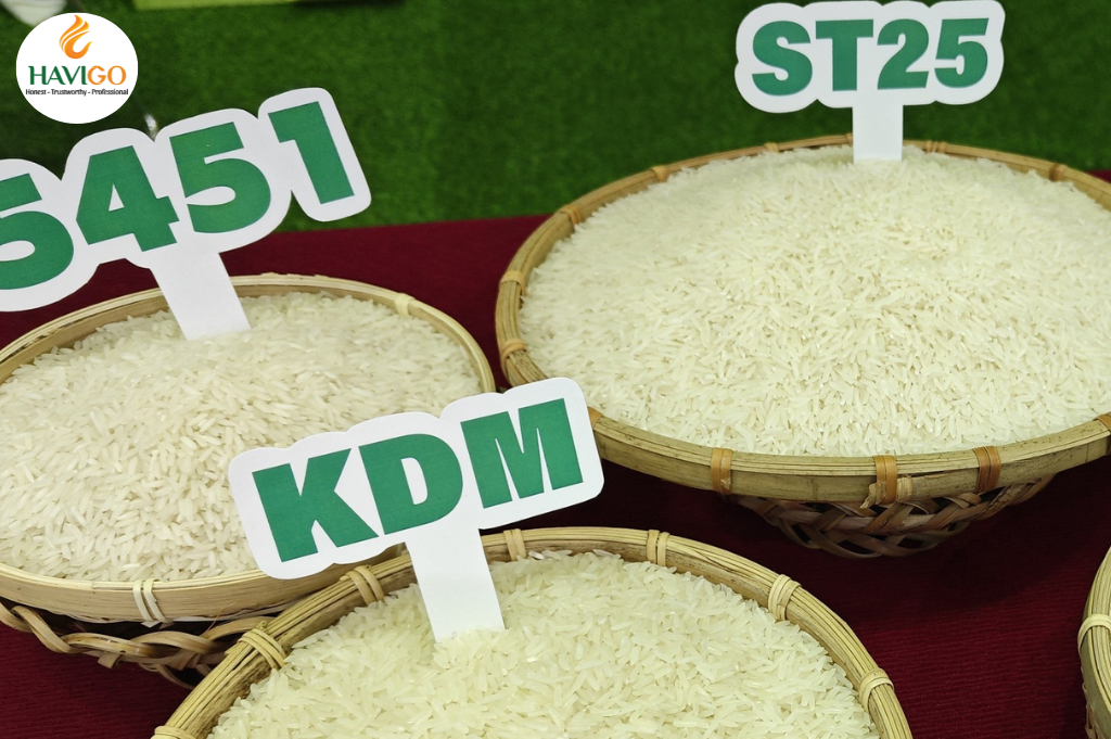 Popular good price White Rice in Vietnam