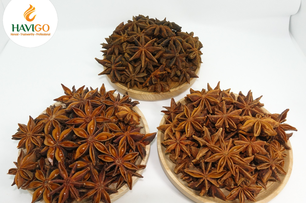 Premium Autumn Star Anise from Vietnam