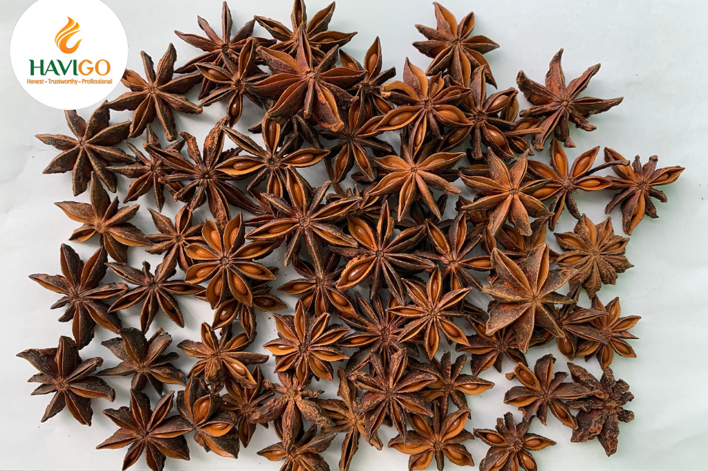 Premium Spring Star Anise from Vietnam