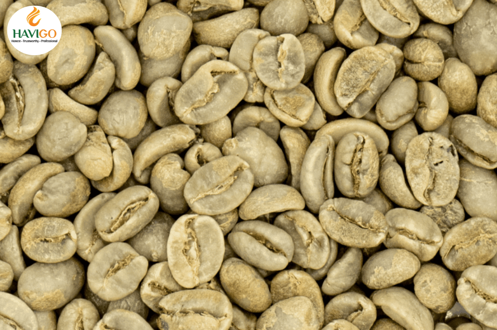 The Coffee Bean size classification process