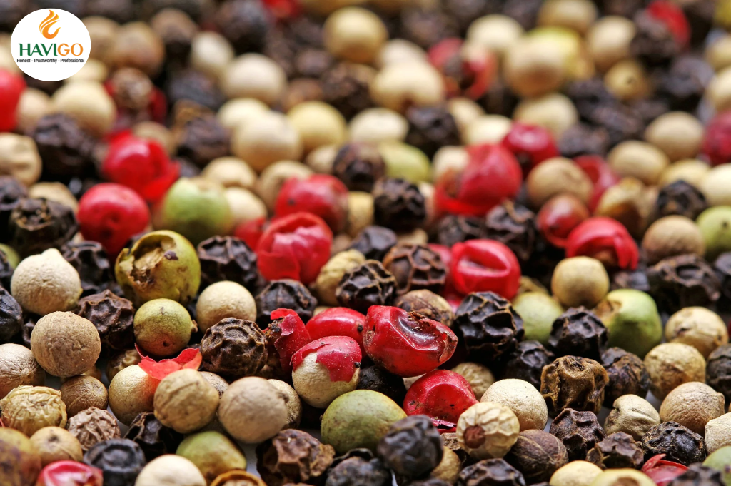 Vietnam – The world’s largest producer and exporter of Black Pepper