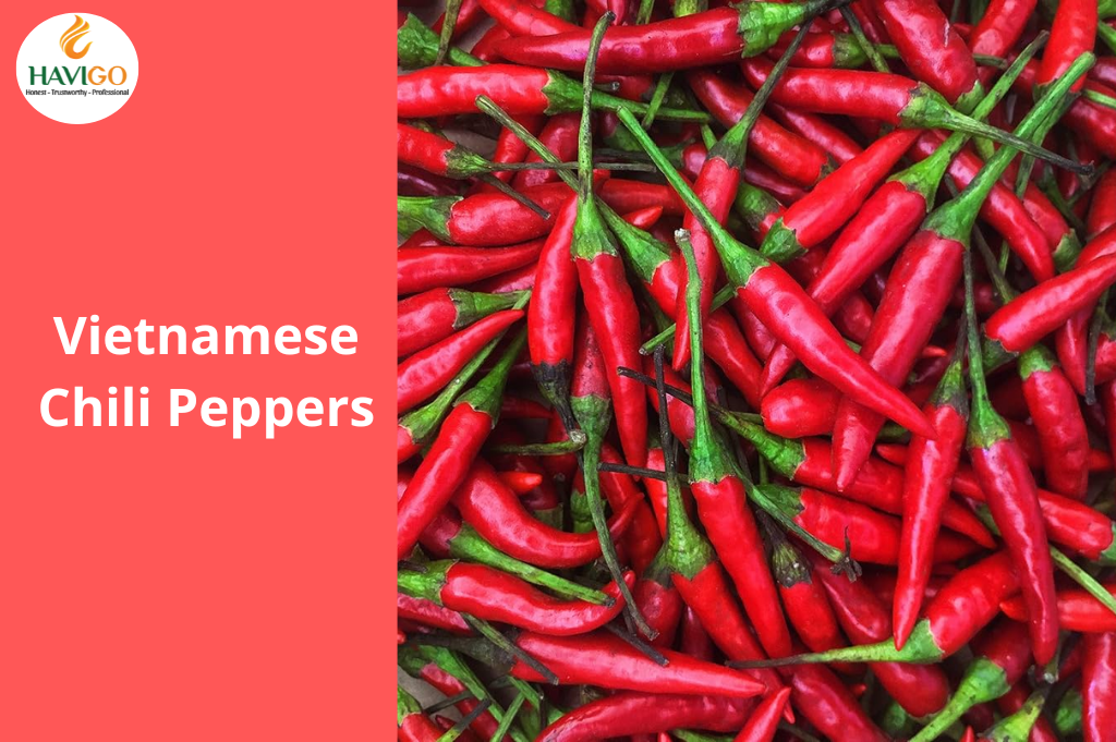 Vietnamese Chili Peppers