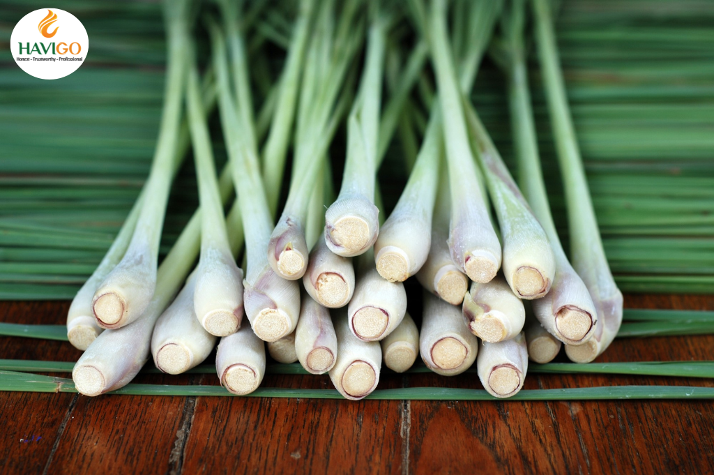 What is Vietnamese Lemongrass