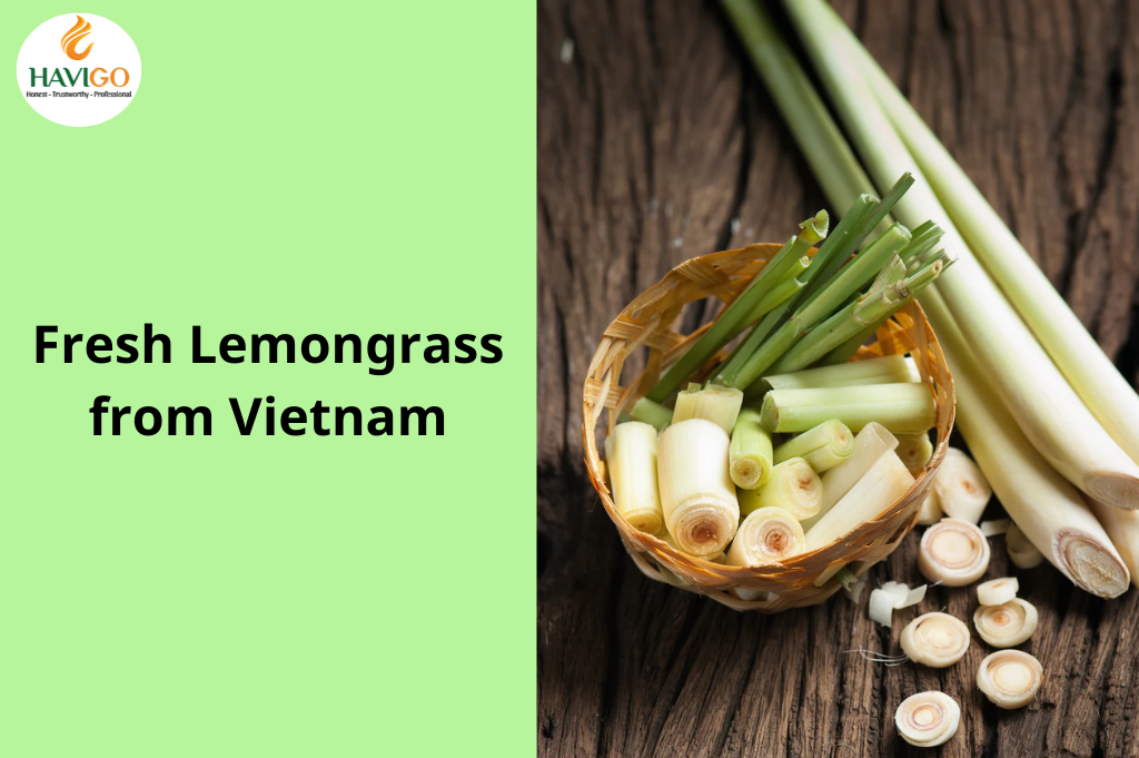 Fresh Lemongrass