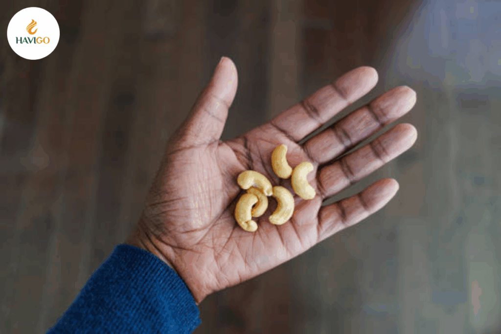Import Cashew Nuts from Vietnam with Confidence – Here's How