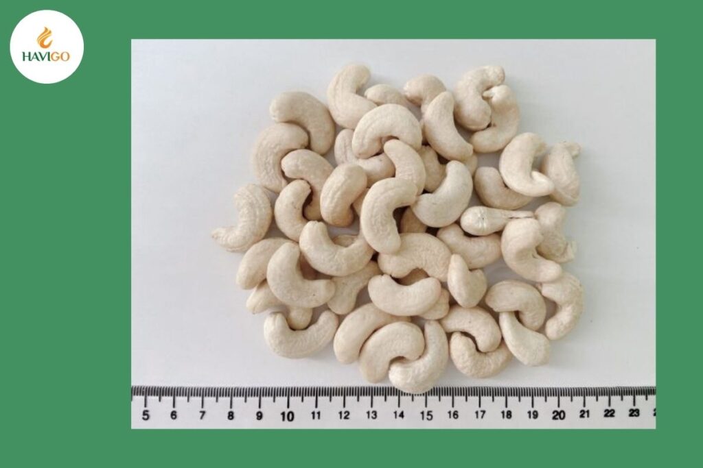 What are cashew nuts ww240?