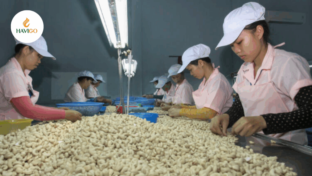 worker at havigo