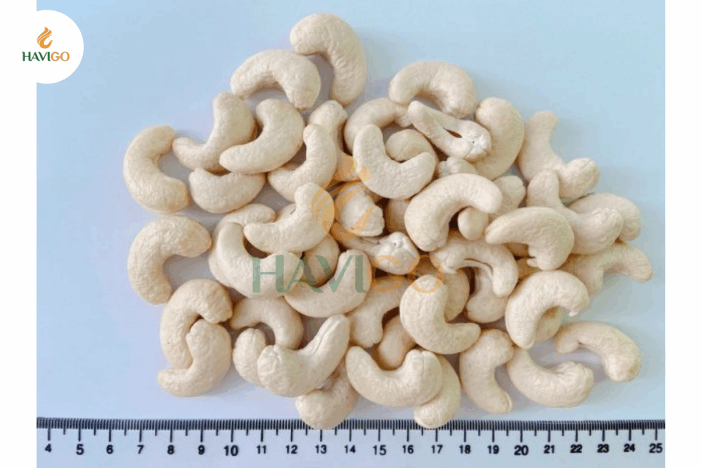 Where to Buy High-Quality Cashews W180