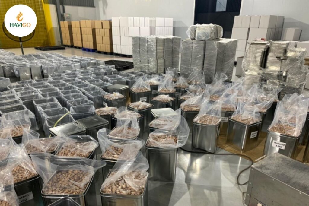 Why choose HAVIGO VIETNAM as your trusted ww240 cashew supplier