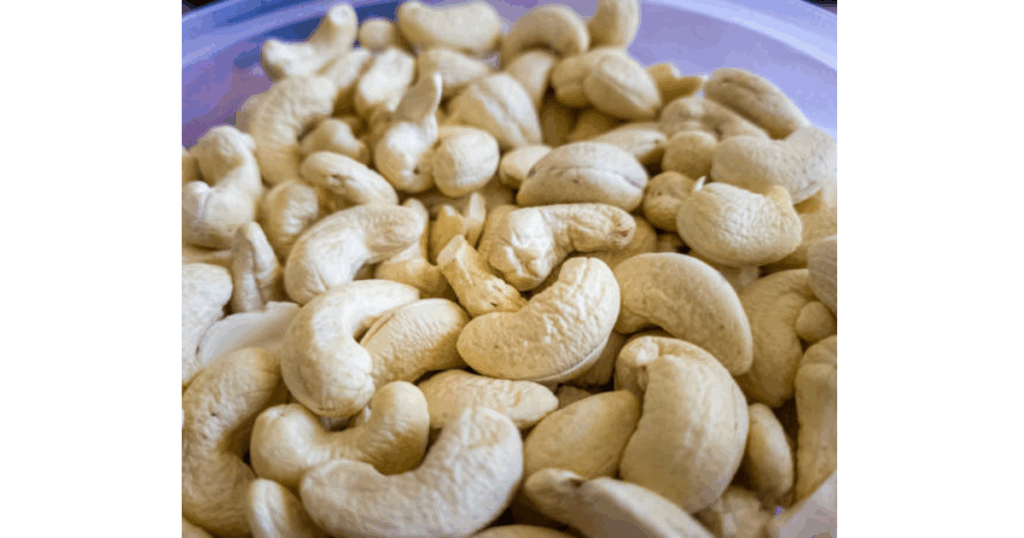 Expertise – Years of Cashew Export Excellence