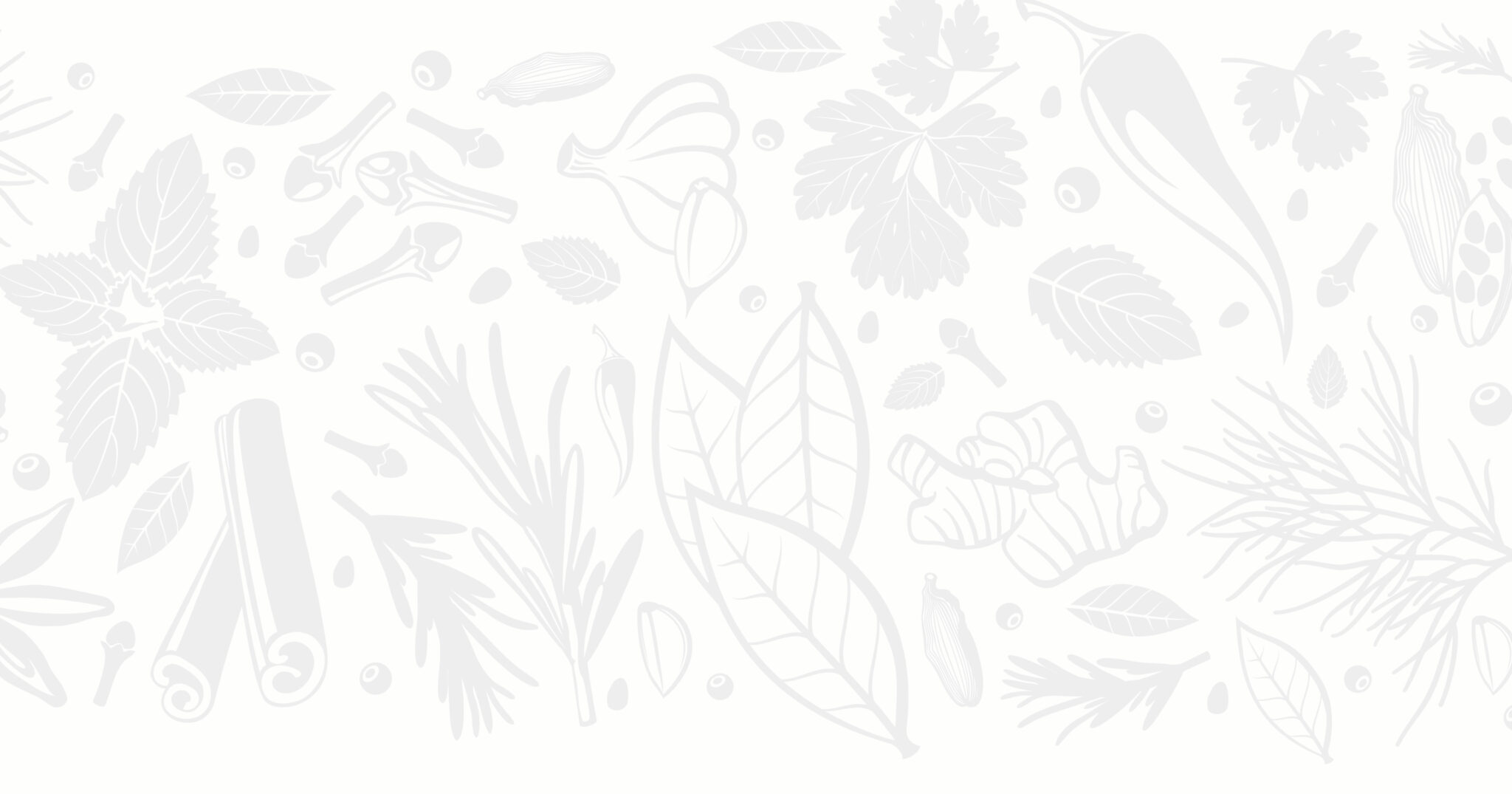 Cashew Nuts 25 eXPORTER OF 8 havigo.vn