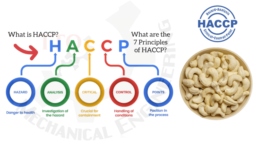 What Is a HACCP Certified Cashew Factory?