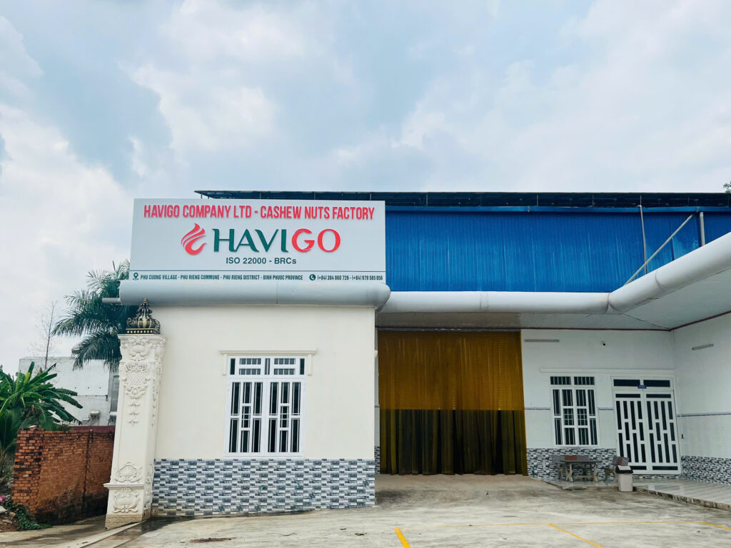 HAVIGO CASHEW FACTORY