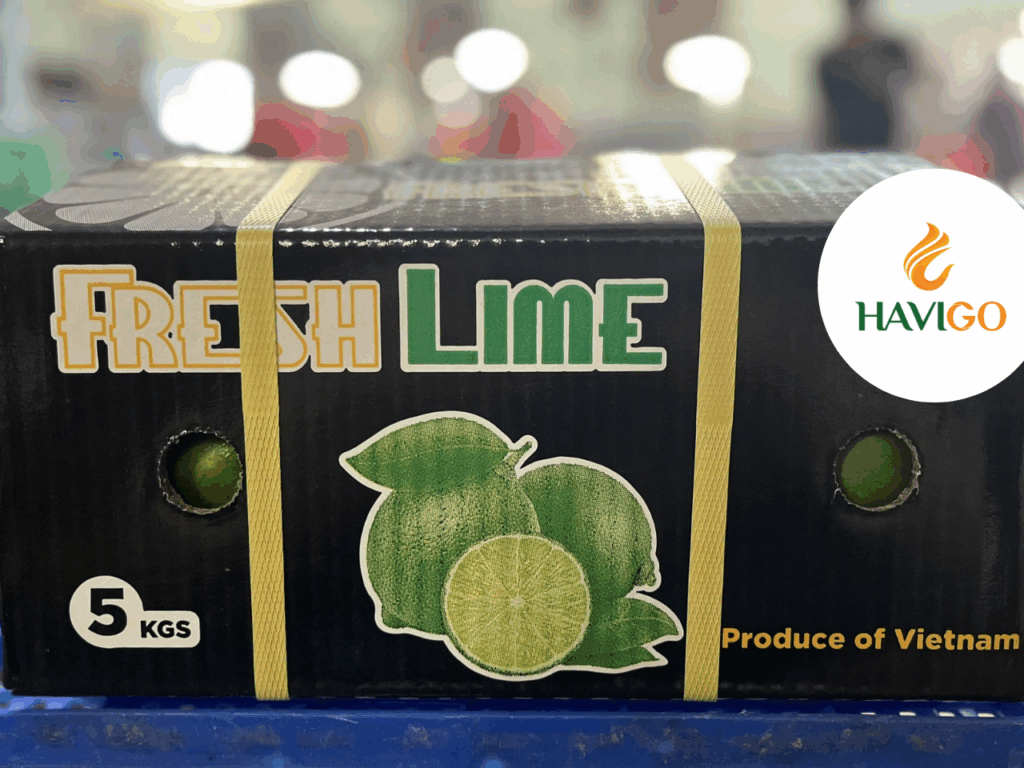 Havigo – Your Reliable Lime Export Partner
