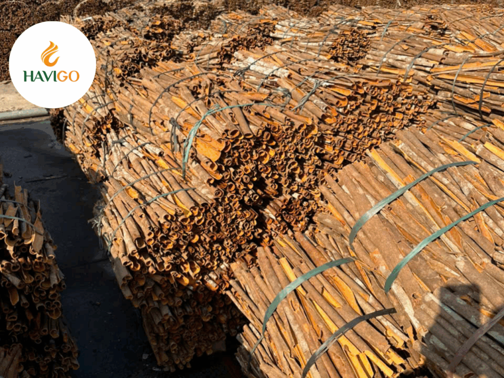 Cinnamon: The Sweet and Spicy Powerhouse