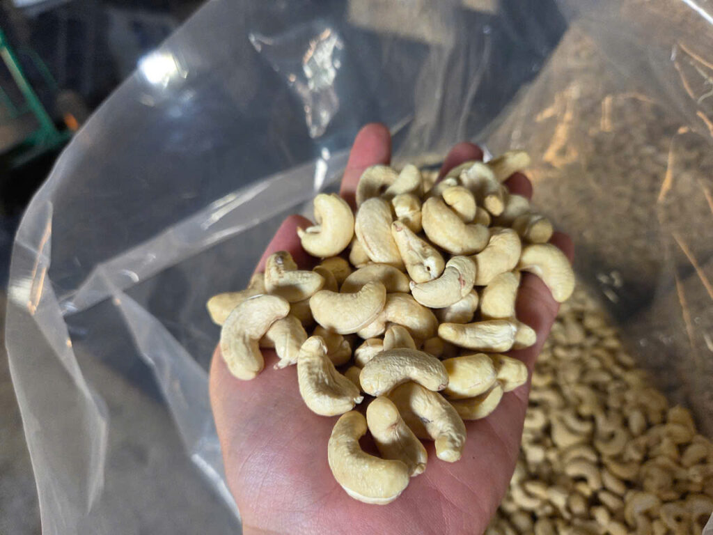 Whole vs. Broken Cashew Nuts 