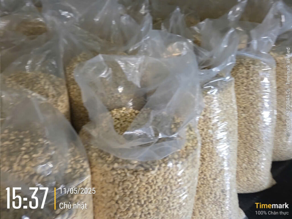 Export Goals for Vietnamese Cashew in 2025