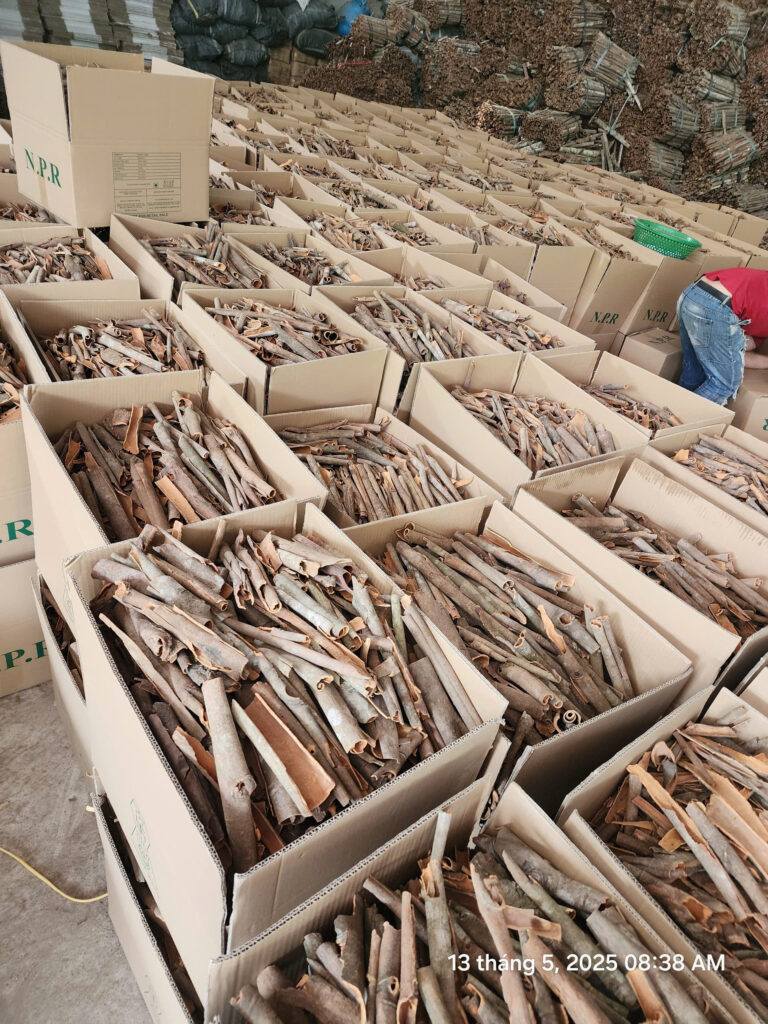 Types of Cassia Cinnamon Sticks for Export