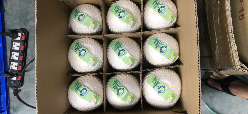 Why Havigo Stands Out Among Diamond-Cut Coconut Suppliers