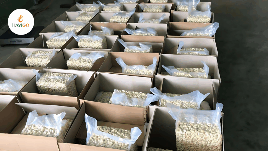 Types of Cashew Products Imported