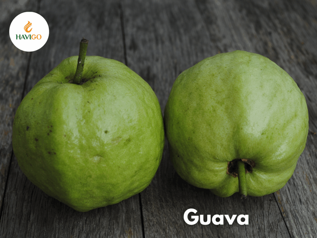 Partner with Havigo – Your Reliable Fruit Exporter