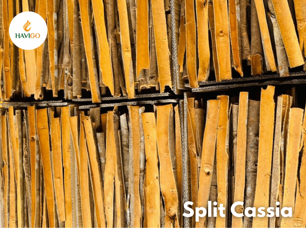 What Is Premium Split Cassia?