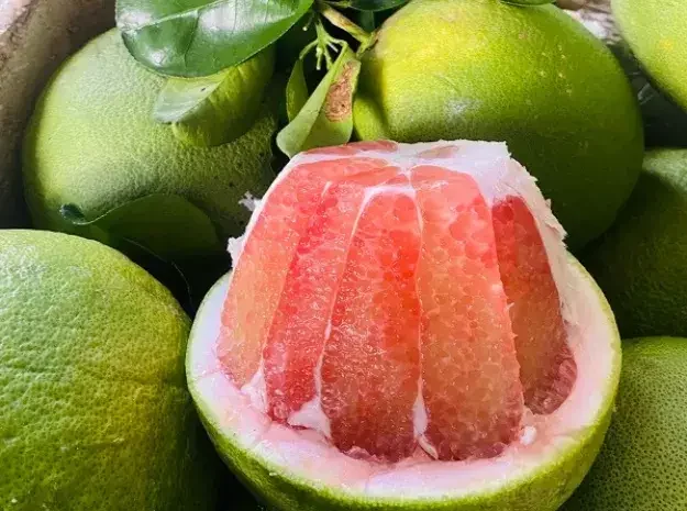 11zon_Untitleddesign-5