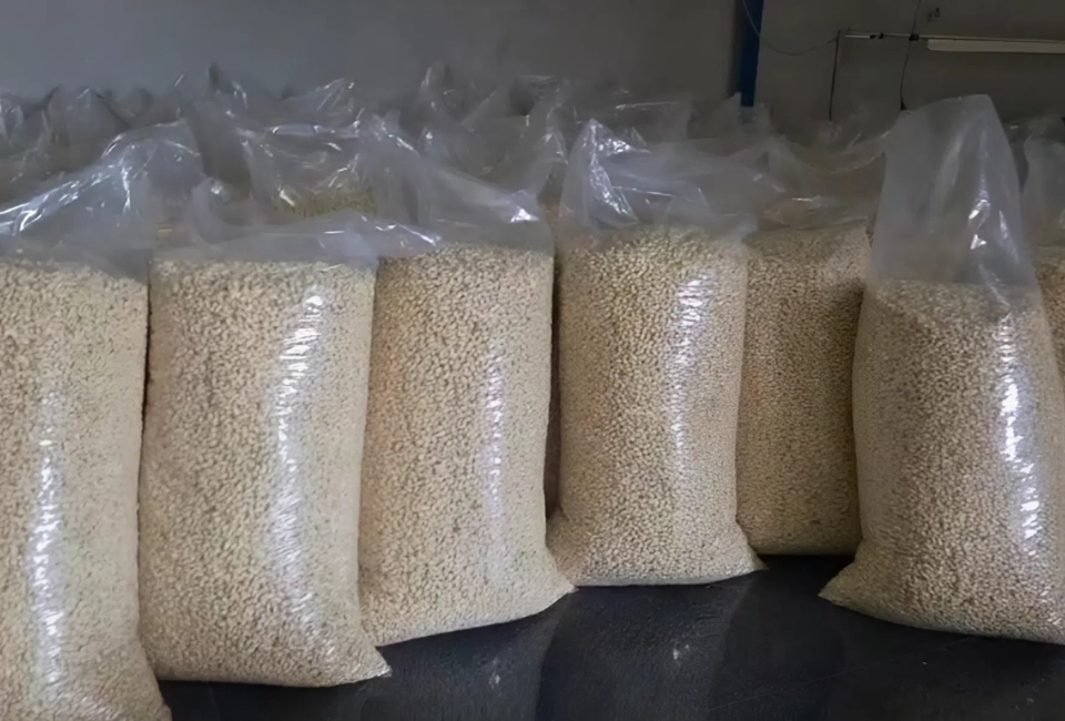 Cashew image slot 02