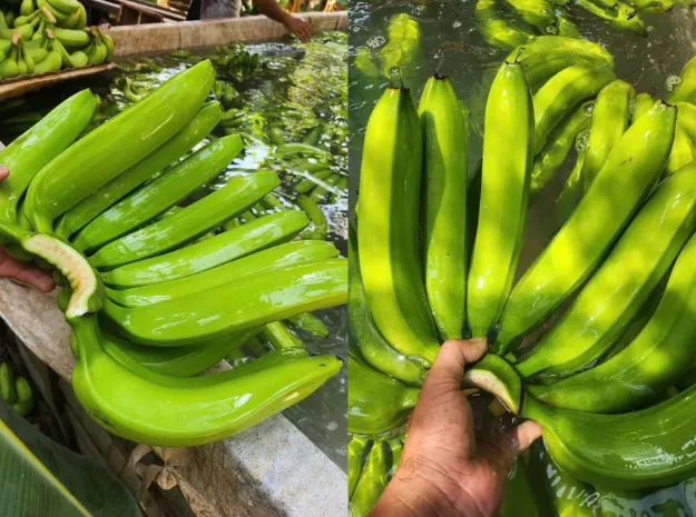 Vietnamese banana