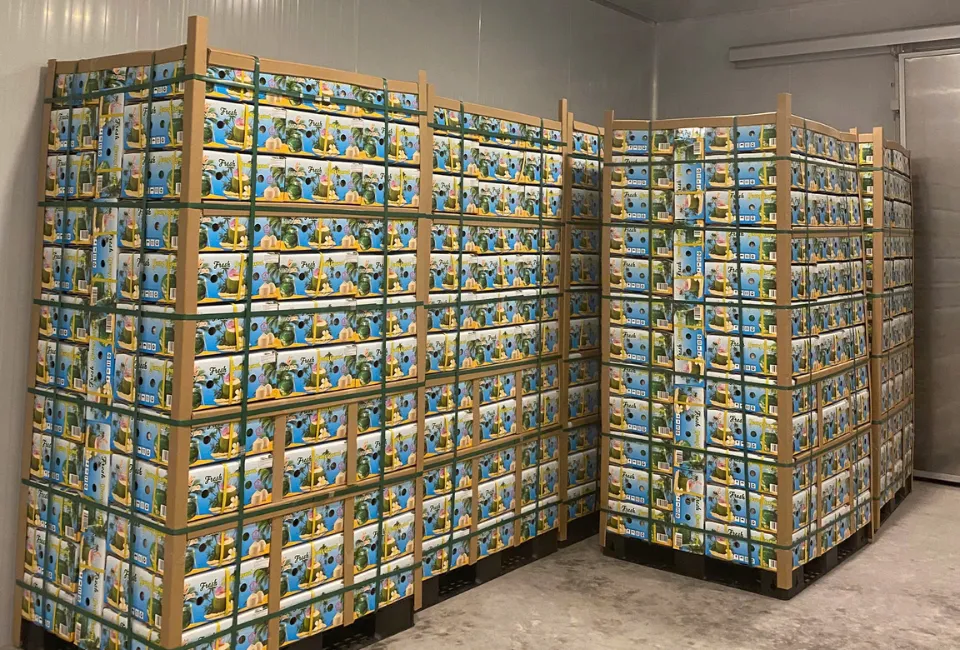 Vietnamese Coconut 8 packaging of vietnamese push press coconut