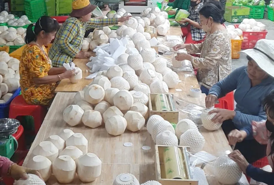 Vietnamese Coconut 9 the process of making push button coconut