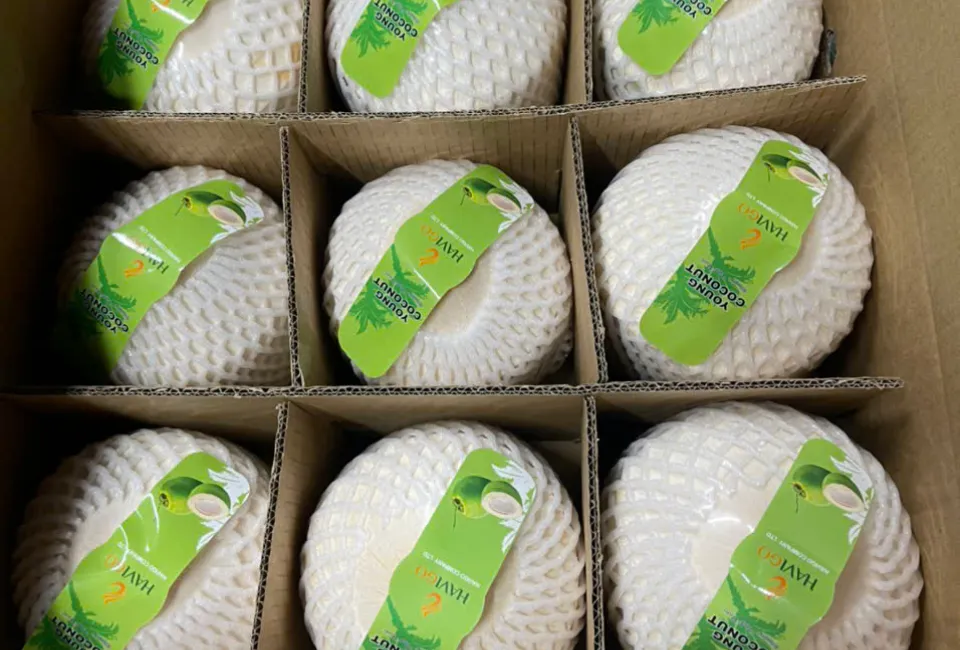 Vietnamese Coconut 11 17 11zon havigo.vn