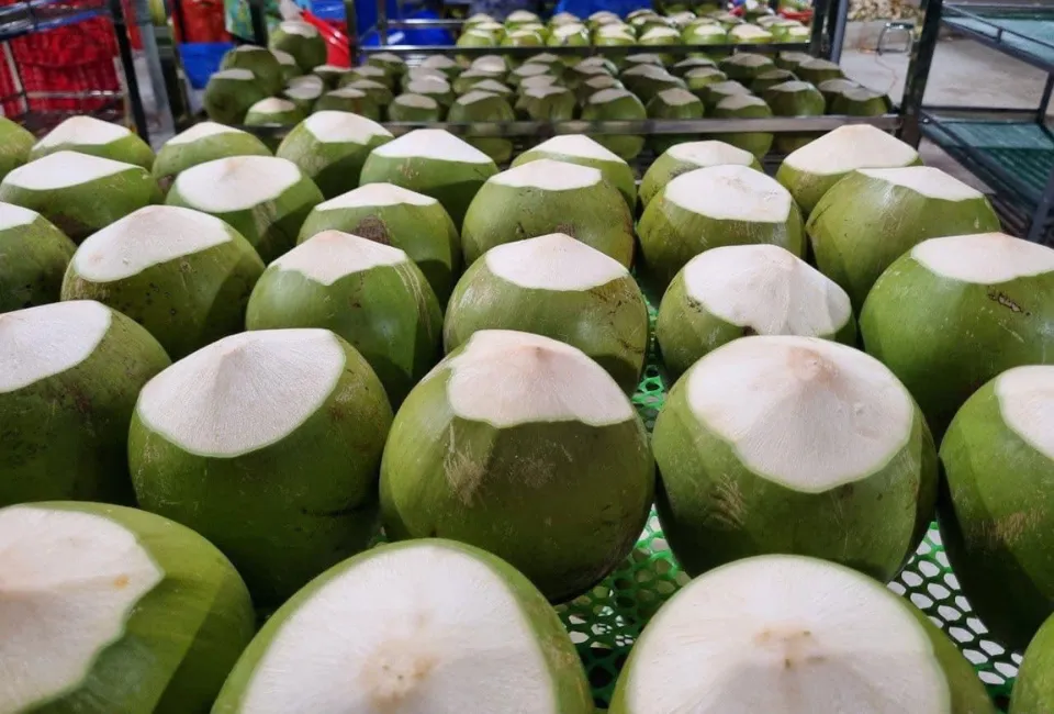 Vietnamese Coconut 7 vietnamese diamond cut coconut making