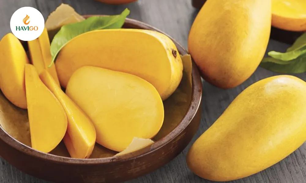 specifications-and-seasonal-advantages-of-cat-chu-mango-for-export