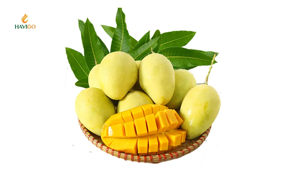 what-makes-hoa-loc-mango-unique