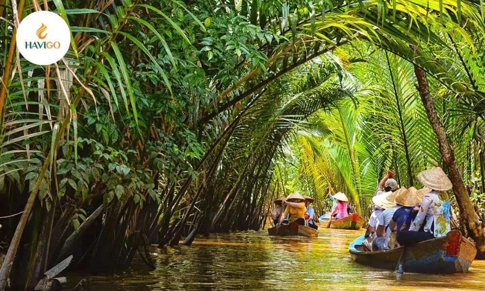growing-regions-and-seasons-for-vietnamese-mango