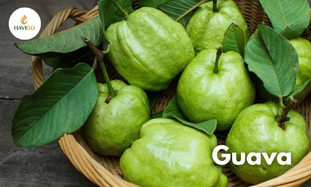 guava is a tropical fruit
