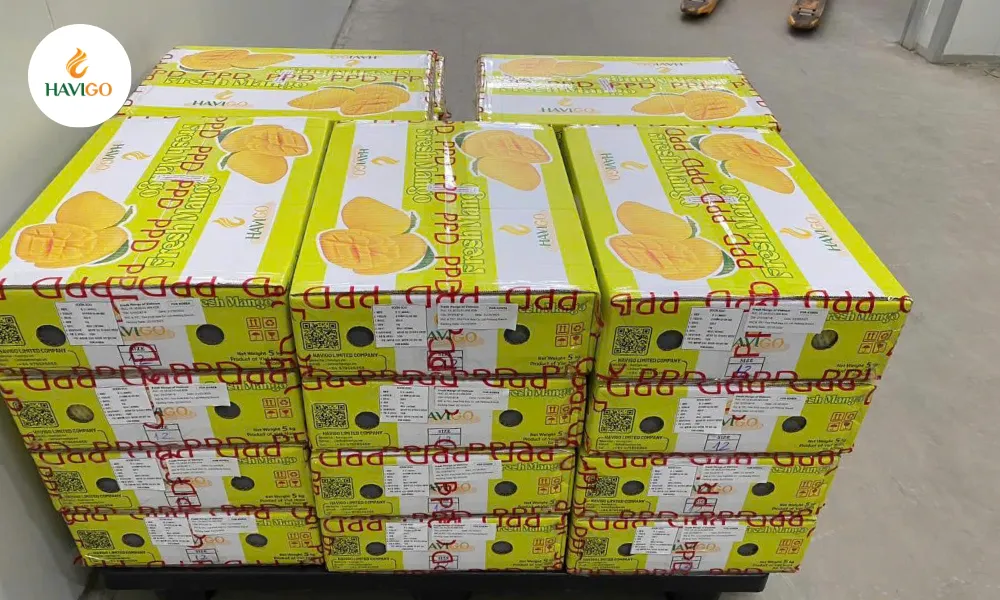 Vietnamese mango exported by Havigo