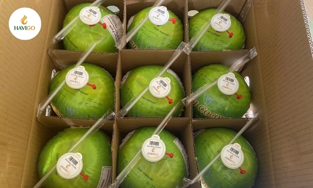 Why Choose Havigo as Your Preferred Coconut Exporter?