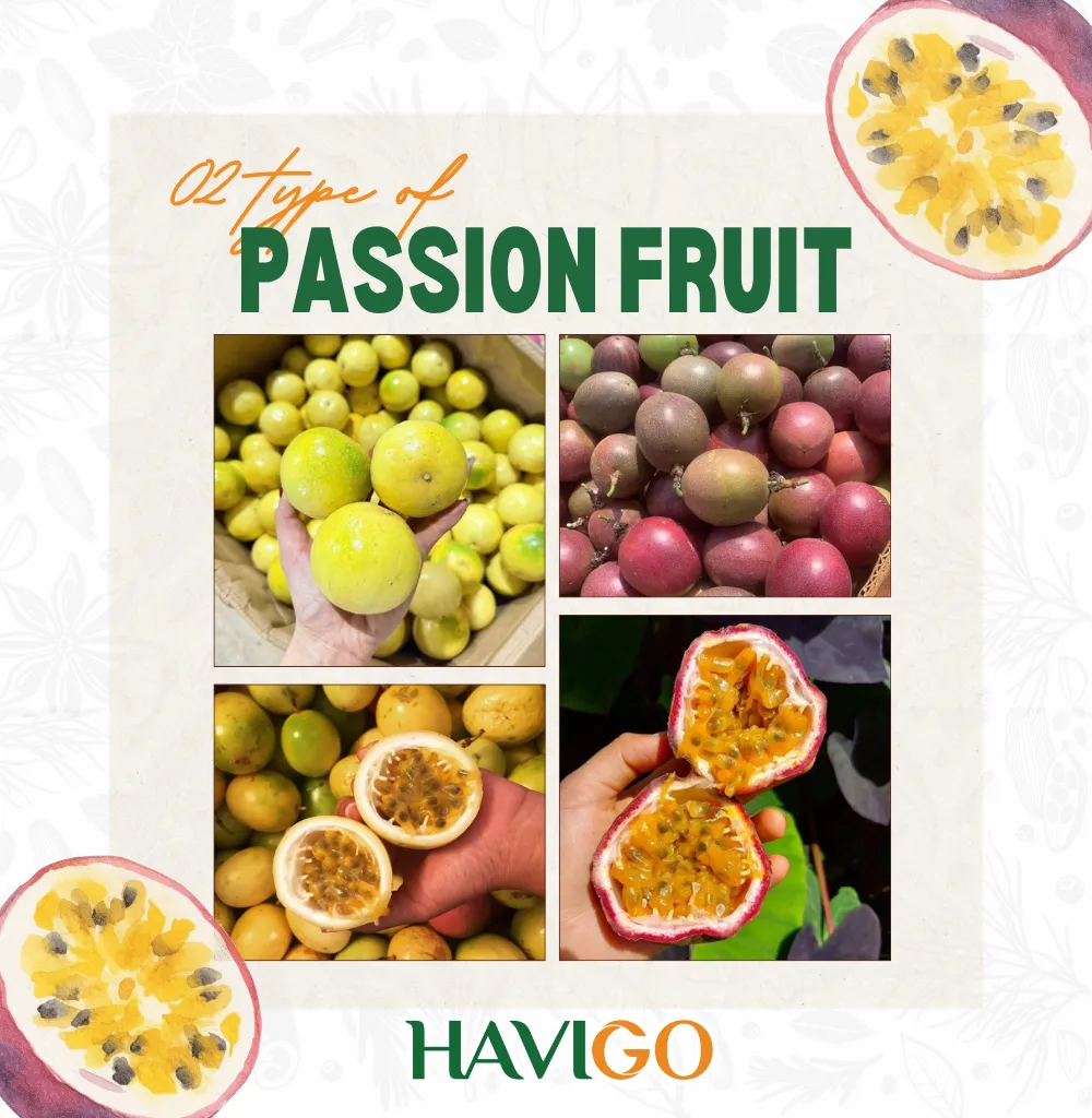 Types of Passion Fruit